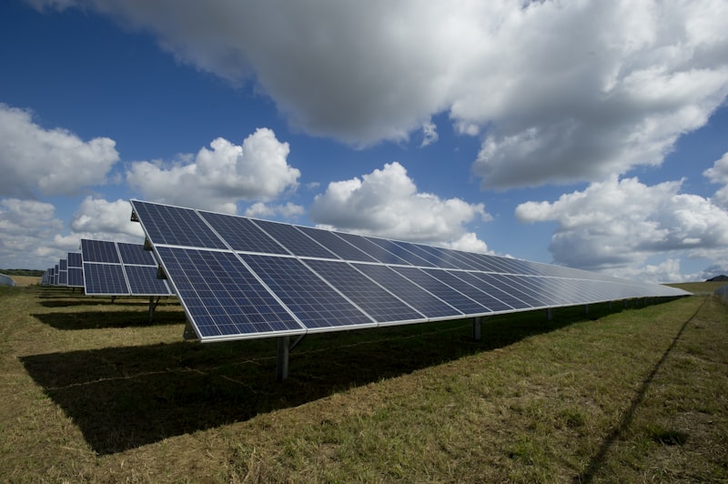 Paneles solares fotovoltaicos con luz solar